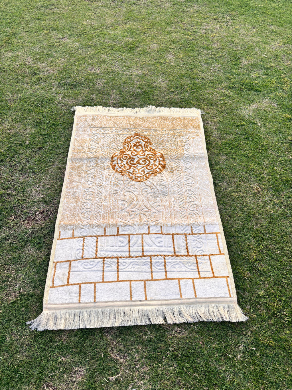 THE BARAKAH - Article 02