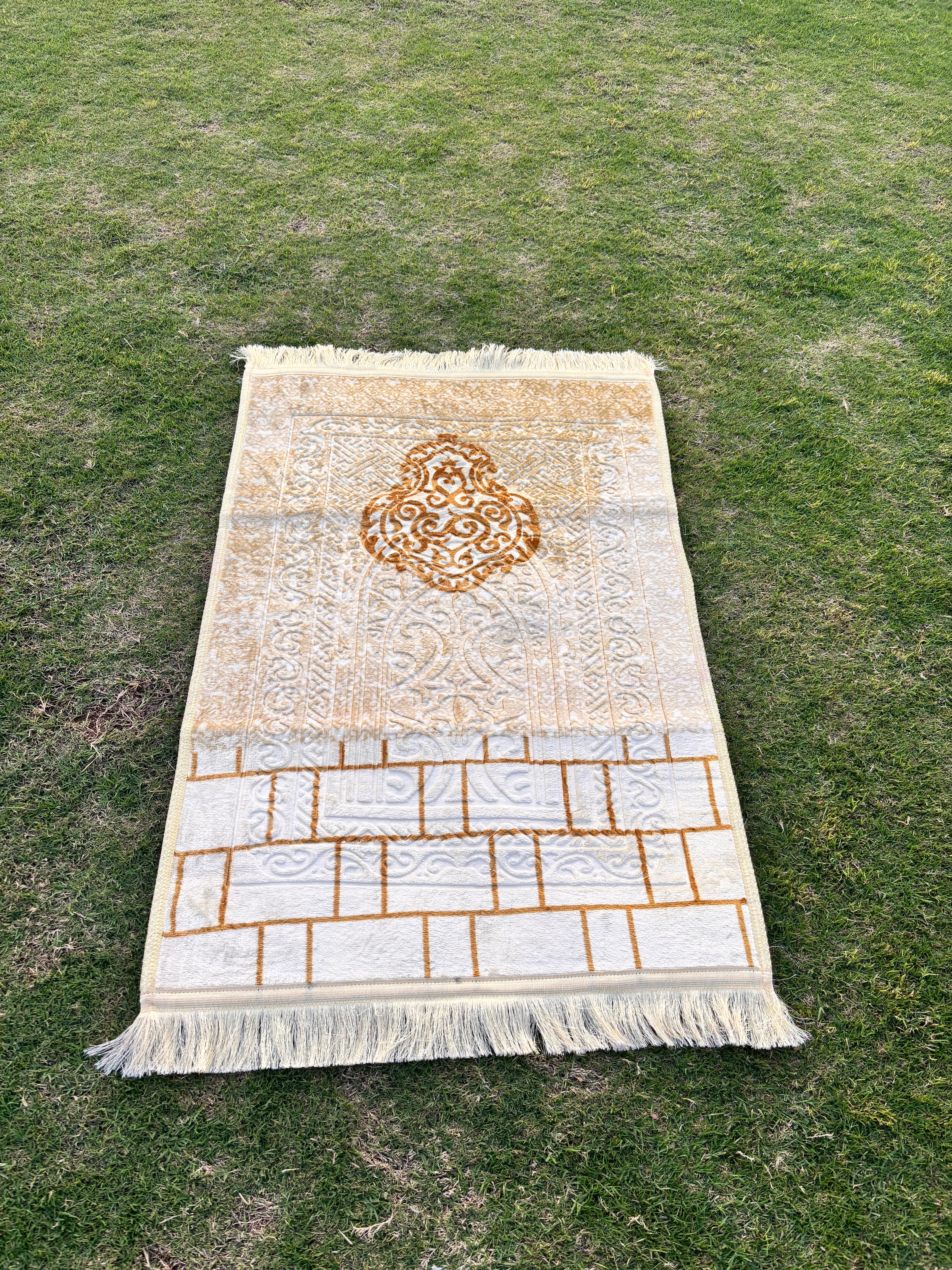 THE BARAKAH - Article 02