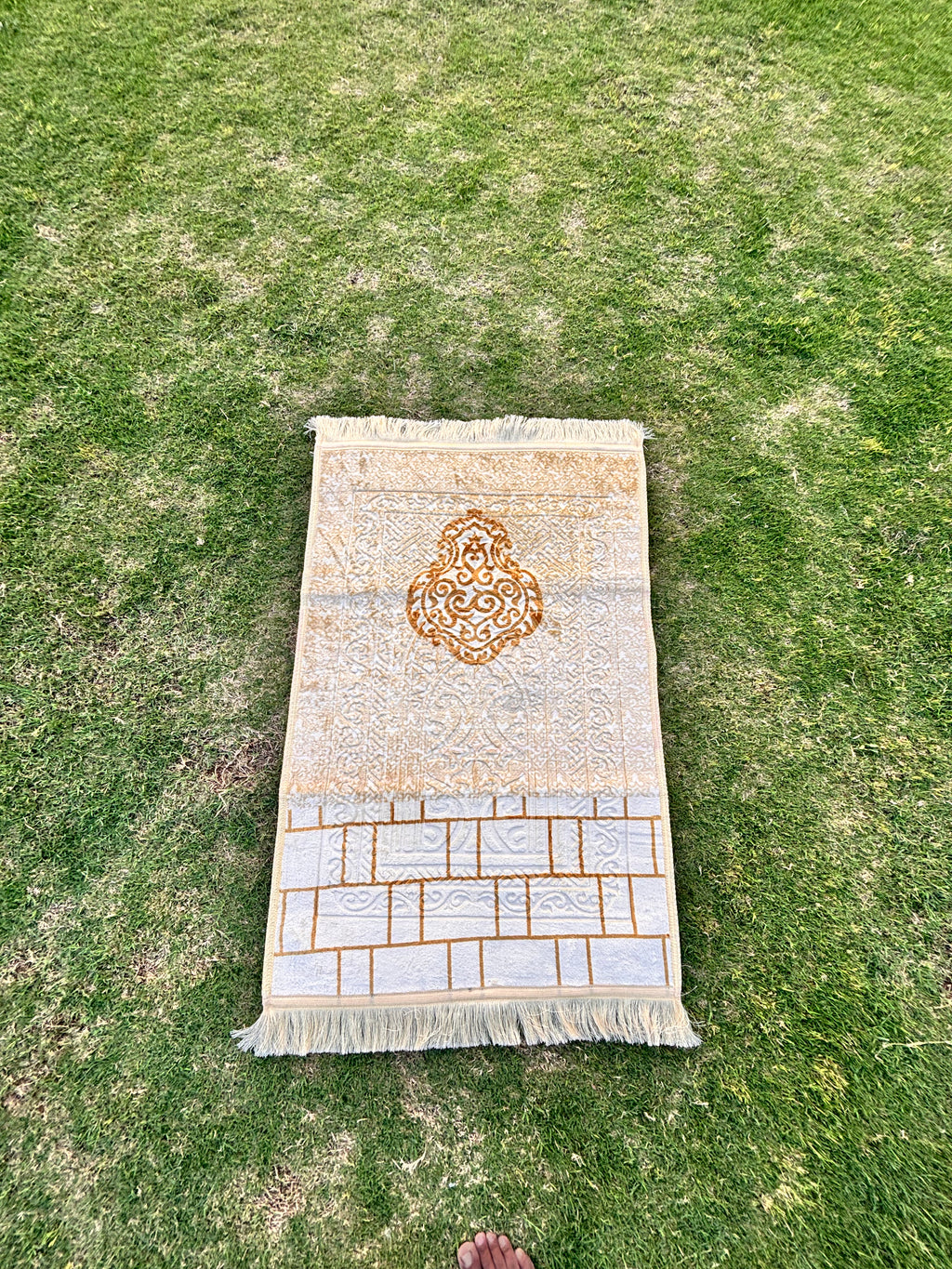 THE BARAKAH - Article 02